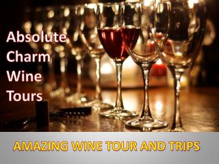 Fredericksburg Winery Tour