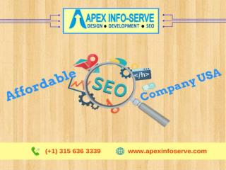 Affordable SEO Company USA-Choose Apex Info-Serve