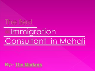 The Best immigration consultant in Mohali