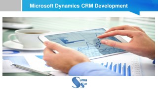 Microsoft Dynamics CRM Development