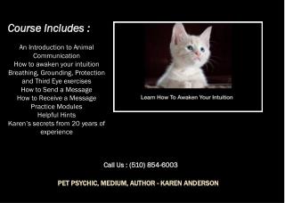 Animal Communication Courses & Film