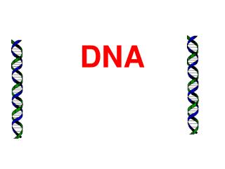 DNA