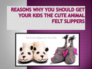 Reasons Why You Should Get Your Kids the Cute Animal Felt Slippers