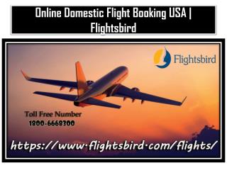 Find Online Domestic Flight Booking USA at Flightsbird