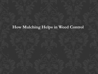 How Mulching Helps in Weed Control