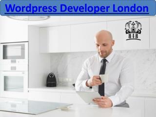 WordPress developer london