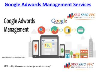 Google Adwords Management Services