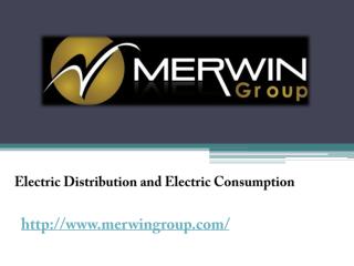 Electric Distribution and Electric Consumption - www.merwingroup.com