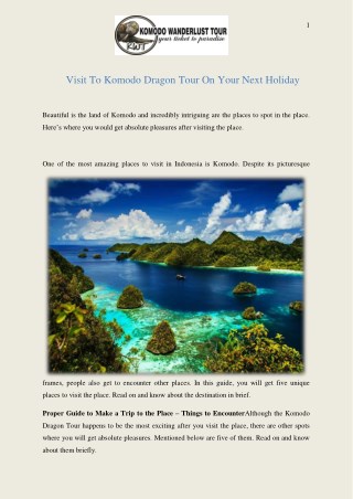 Visit To Komodo Dragon Tour On Your Next Holiday