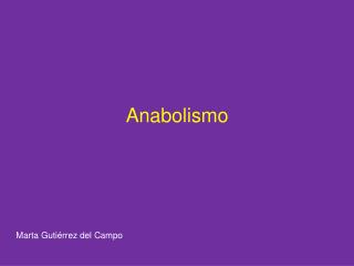 Anabolismo