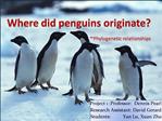 Where did penguins originate -Phylogenetic relationships