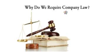 Best Brief Detail Here about the Company Law