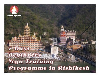 7 Days Beginners Yoga Training Programme in India