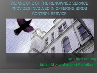 Spikes offers bird control service in India like anti bird netting