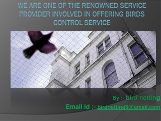 Nets n Spikes offers bird control service in India like anti bird netting