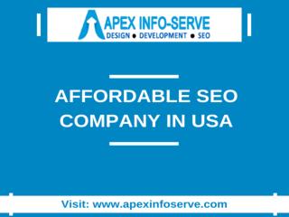 Affordable SEO Company in USA-Get better result from Apex Info-Serve