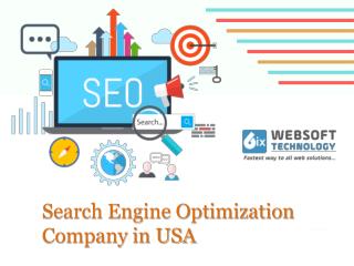 Search Engine Optimization Company in USA