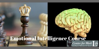 Emotional Intelligence Course