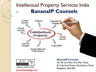 Intellectual Property Services India - BananaIP Counsels