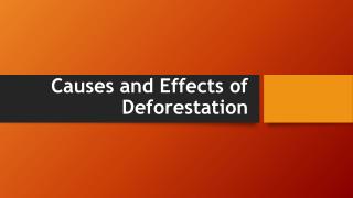 Causes and Effects of Deforestation