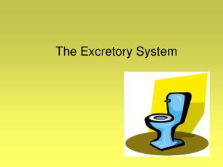 The Excretory System