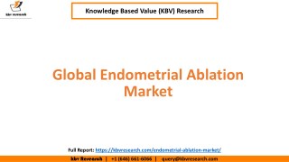 Global Endometrial Ablation Market Segmentation and Market Size