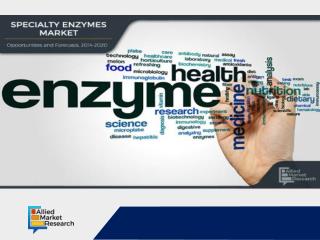 New Research discovered Specialty Enzymes Market Expected Healthy Growth by 2020
