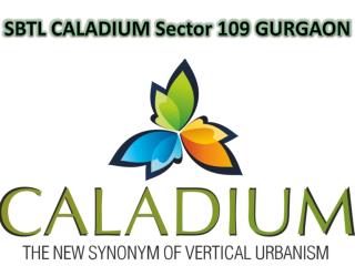 SBTL Caladium Sector 109 Gurgaon