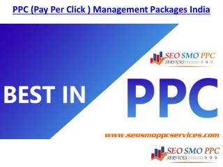 PPC (Pay Per Click ) Management Packages India