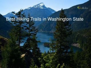 Best Hiking Trails In Washington State