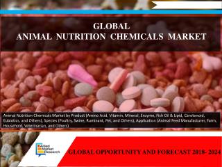 Global Animal Nutrition Chemicals Market Trends and Growth Analysis with Forecast- 2024