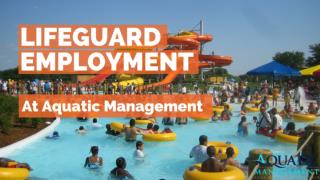 Lifeguard Employment At Aquatic Management.