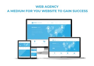 Why Web Agency is Important for the Business? | FIFIUM