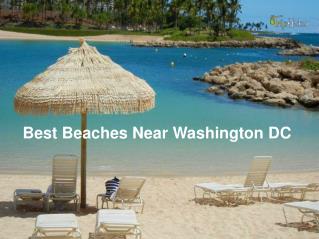 Best beaches near Washington DC