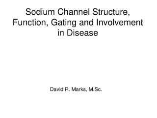 Sodium Channel Structure, Function, Gating and Involvement in Disease