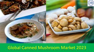 Global Canned Mushroom Market by Manufacturers, Regions, Type and Application, Forecast to 2023