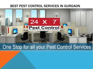 Best Pest Control Services in Gurgaon