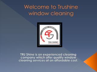 Trushinewindowcleaning.com Offers Quality Window Cleaning Services in Houston