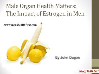 Male Organ Health Matters: The Impact of Estrogen in Men