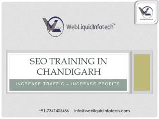 SEO Training in Chadnigarh