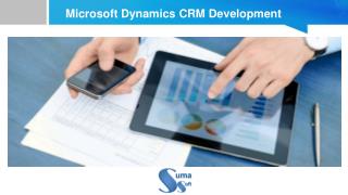 Microsoft Dynamics CRM Development