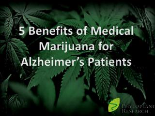 Medical Marijuana for Alzheimer's