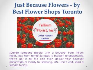 Just Because Flowers - by Best Flower Shops Toronto