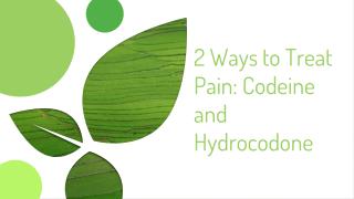 2 Ways to Treat Pain: Codeine and Hydrocodone