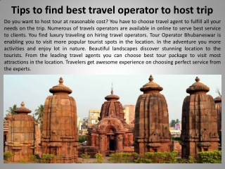 Tips to find best travel operator to host trip