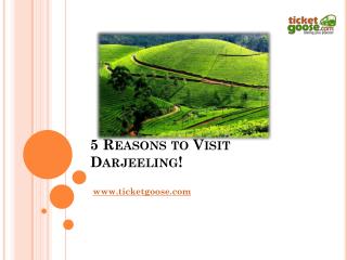 5 Reasons to Visit Darjeeling!