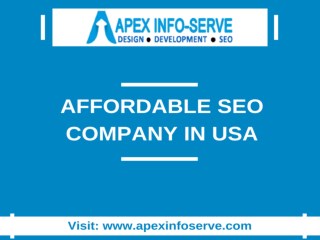 Affordable SEO Company in USA-Apex Info-Serve