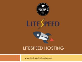 Litespeed Hosting