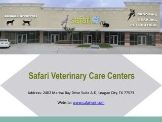 Pet Grooming: Give Your Pet A Stylish Look From Safari Vet Grooming Stylists
