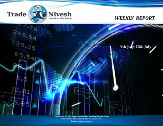 Tradenivesh - Best stock advisory company in Indore | Intraday tips | Stock advice |mcx free tips